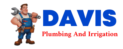 Trusted plumber in CANADYS